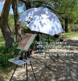 White Best Brella diffuses dappled light